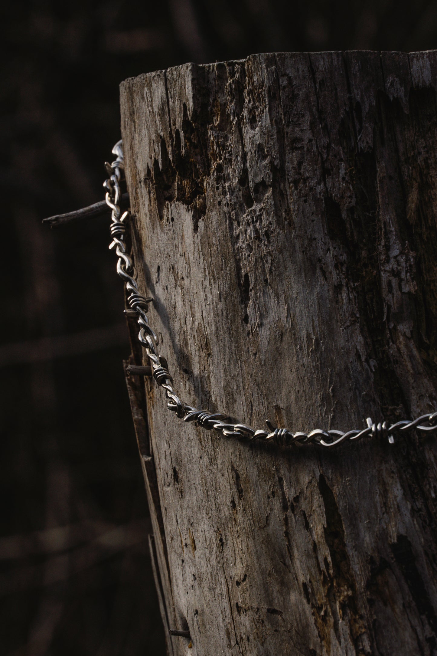 Barbed Wire Necklace by Dark Circles